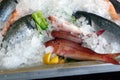 Some seafood on ice at the harbor of Chania. Crete, Greece. Royalty Free Stock Photo