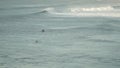 Some seagulls fling in front of people surfing waves