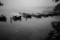 Some small rowboats lie on the shore of a lake in the fog Royalty Free Stock Photo