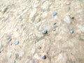 some small stones on dry ground