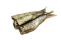 Some smoked sprats in oil Royalty Free Stock Photo