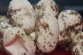 Empty corn snake eggs on a red table