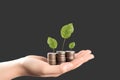 some stack of coins with plant growing generative AI Royalty Free Stock Photo