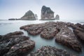 Some starfishes on a rock on the beach. Motukiekie bay point, west coast of New Zealand`s South Island Royalty Free Stock Photo