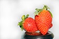 Some strawberries perfect for making jam and putting in a jar, highlighted against a background. Royalty Free Stock Photo