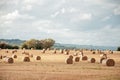 Straw bales at harvest time in the English countryside. Royalty Free Stock Photo