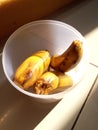 Some sweet yellow ripped bananas in a plastic box