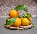 Some tangerins on a wooden stand Royalty Free Stock Photo