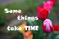 Some things take time wise phrases for every day