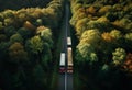 some trucks pass through a forest,