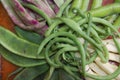 Some typical Mediterranean vegetables: broad beans, beans, garrofon, round bean and tabella bean