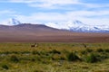 The landscape of northern Chile with the Andes Mountains and volcanoes, Atacama Desert, Chile