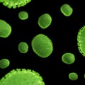 Some viruses - close up