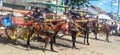 some wagons hang out at a traditional market while waiting for passengers and also for the horses to rest Royalty Free Stock Photo