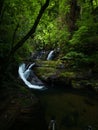 some water running down a wooded stream in the woodss Royalty Free Stock Photo