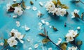 some white flowers on a blue background with some leaves