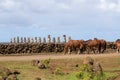 Some wild horses and the  fifteen moais of Ahu Tongariki on the background. Easter Island, Chile Royalty Free Stock Photo