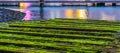 Wooden planks covered in moss, water landscape scenery, tranquil nature background Royalty Free Stock Photo