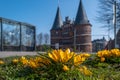 Some yellow crocuses bloom in spring and in the background is LÃÂ¼beck Holsten Gate