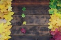 Some of the yellowing fallen autumn leaves of different colors on the background surface of natural wooden boards of dark brown c