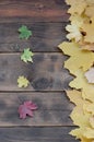 Some of the yellowing fallen autumn leaves of different colors on the background surface of natural wooden boards of dark brown Royalty Free Stock Photo