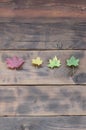 Some of the yellowing fallen autumn leaves of different colors on the background surface of natural wooden boards of dark brown Royalty Free Stock Photo