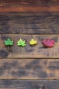 Some of the yellowing fallen autumn leaves of different colors on the background surface of natural wooden boards of dark brown c