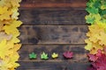 Some of the yellowing fallen autumn leaves of different colors on the background surface of natural wooden boards of dark brown c Royalty Free Stock Photo