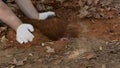 Somebody burying a jar of jewelry