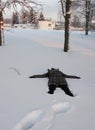 Somebody lies in the snow with his arms outstretched Royalty Free Stock Photo