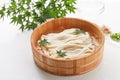 Somen, Japanese noodle dishes, Royalty Free Stock Photo