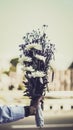 Someone holding a bouquet of white daisy flower for a surprise