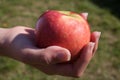 Someone holding a red apple