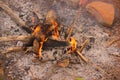 A campfire lit with firewood in the field