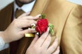 Someone is pinning red rose flower with both hand on a man with a golden suit