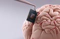 Someone put tiny computer chip detail in human brain Royalty Free Stock Photo