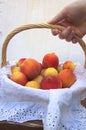 Someone takes a basket full of summer fruits Royalty Free Stock Photo