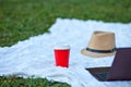 Someone using laptop in the park. Working on laptop outdoors. On the grass on a plaid lie laptop, paper coffee cup and hat Royalty Free Stock Photo