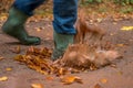 Someone walks through the forest with rubber boots and enters a puddle