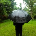 Someone who is looking at nature under heavy rain and an umbrella as shade Royalty Free Stock Photo