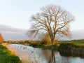 Somerset canal Bridgwater and Taunton West England UK Royalty Free Stock Photo