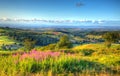 Somerset countryside view The Quantocks Somerset England UK Hinkley Point Nuclear Point Royalty Free Stock Photo