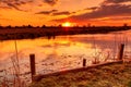 Somerset sunset Bridgwater and Taunton England UK Royalty Free Stock Photo