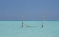 Hammock by the ocean Royalty Free Stock Photo