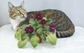 Something Interesting Caught the Attention of a Brindle Cat Hiding Behind a Bouquet of Violets