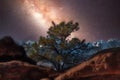 In this fantasy image, the galaxy core silhouettes a tree and shines light not the mountains