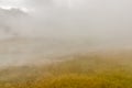 Steam and fog engulf midway geyser basin