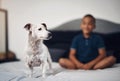 Sometimes your guardian angels are right in front of you. an adorable little boy playing with his pet dog on the bed at Royalty Free Stock Photo