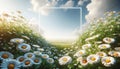 Sommar holidays concept, flowers and sky Royalty Free Stock Photo
