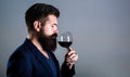 Sommelier, degustator with glass of red wine, winery, male winemaker. Beard man, bearded, sommelier tasting red wine Royalty Free Stock Photo